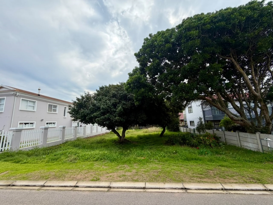 0 Bedroom Property for Sale in Tergniet Western Cape